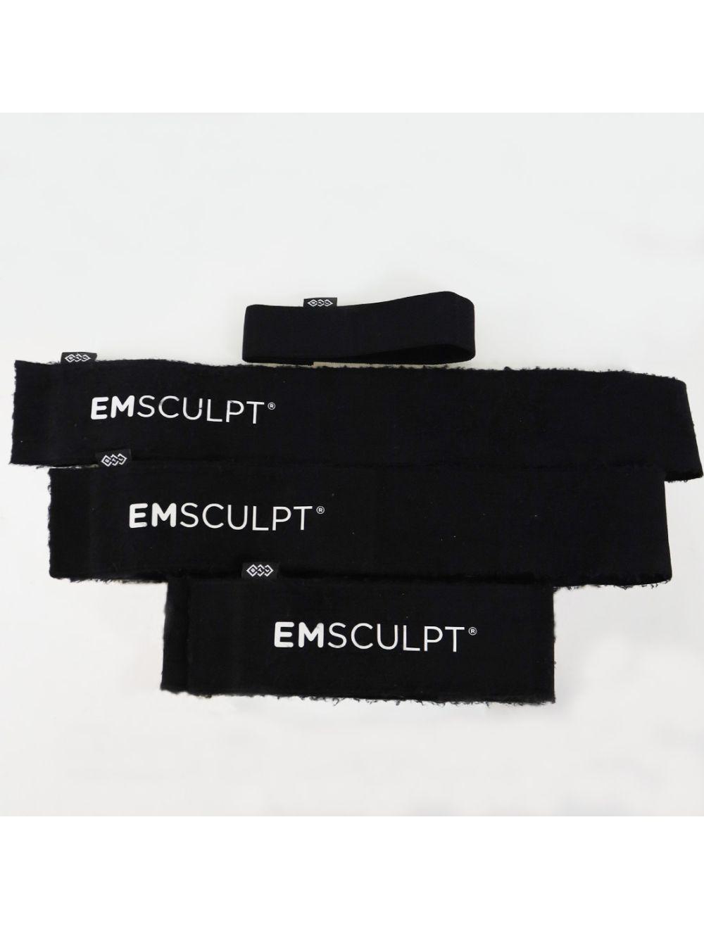 2019 BTL EmSculpt Non Invasive Body Sculpting System With Large and Small Paddles BTL